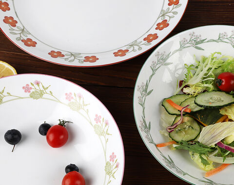 Bulk Round Opal Glass Break and Chip Resistant Dinner Plates with Decorative printing